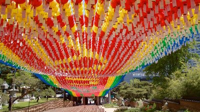 ⛩️ 한소보 신사 (한소보)